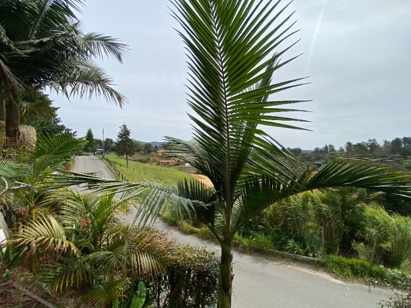 APARTAMENTO EN ARRIENDO UBICADO EN RIONEGRO SECTOR BATALLON - 13