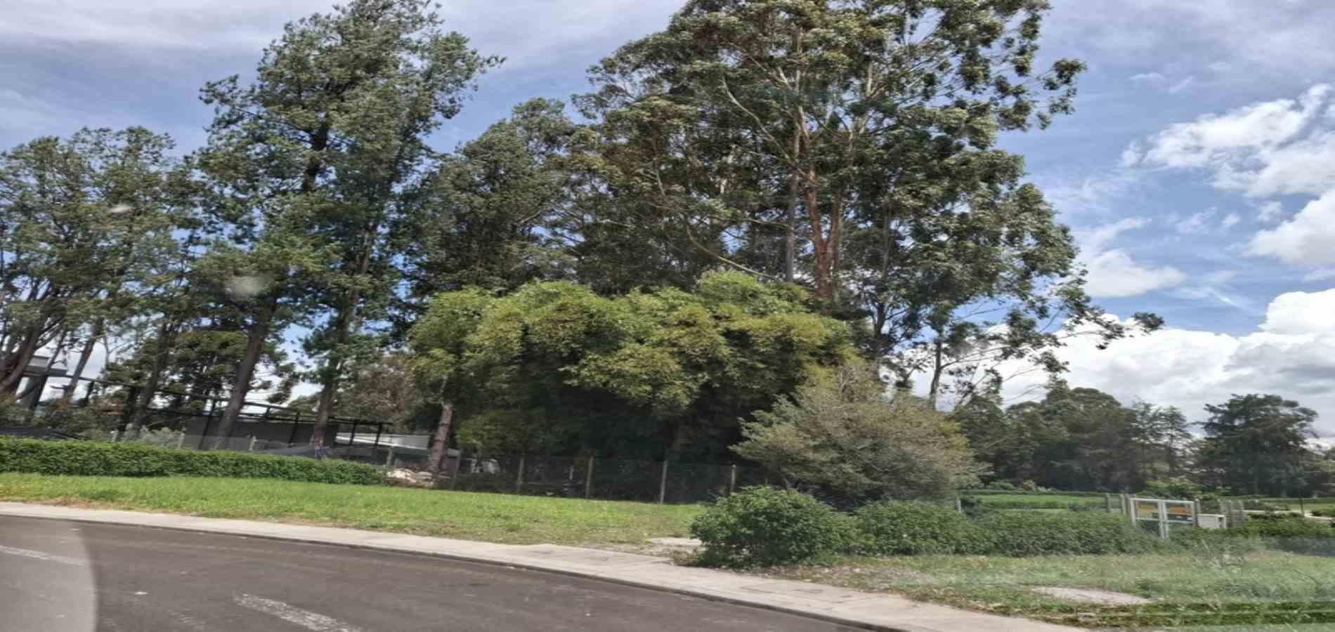 Lote en venta ubicado en Rionegro - 7