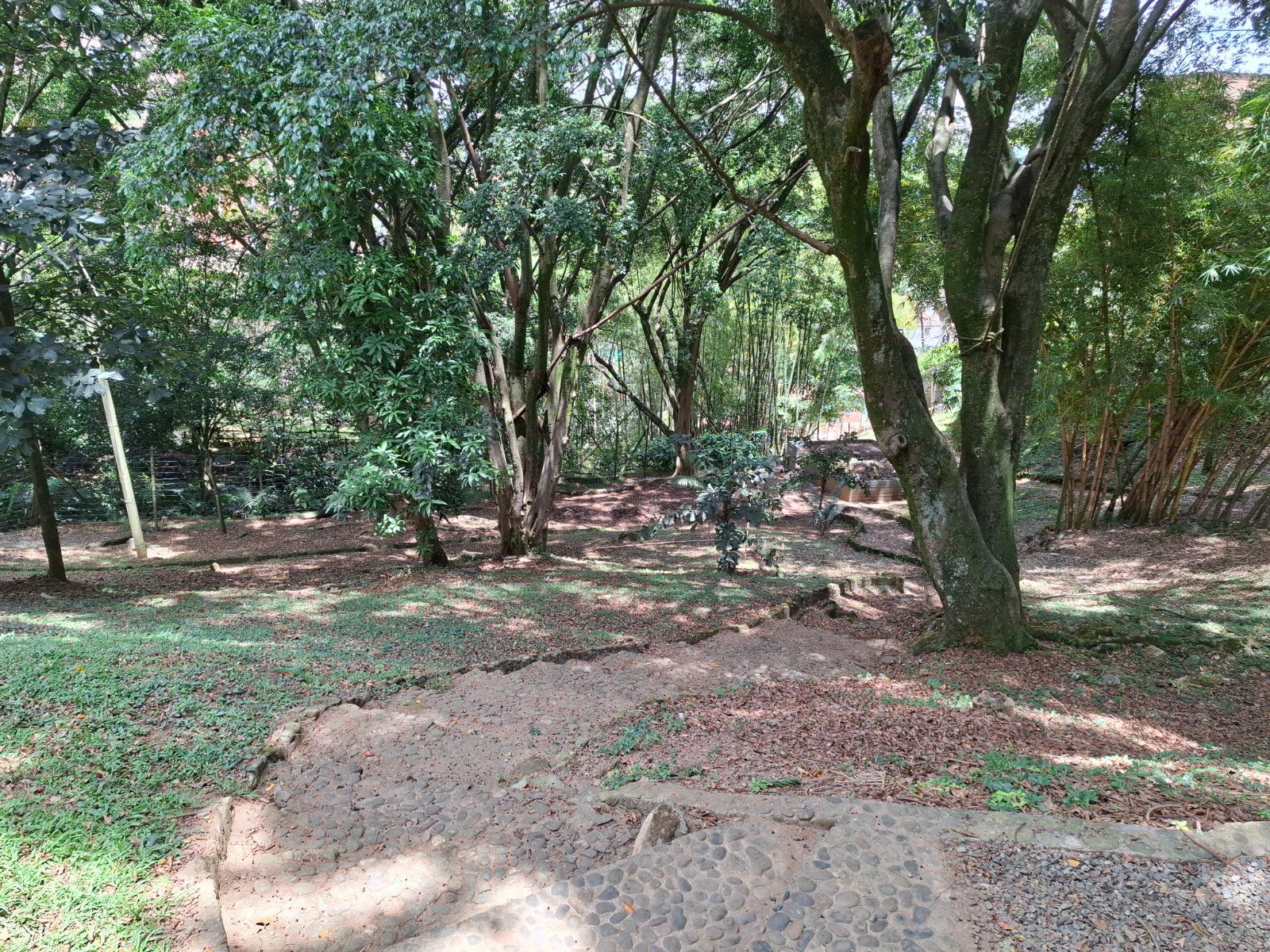 APARTAMENTO EN VENTA UBICADO EN MEDELLIN SECTOR EL POBLADO - 19