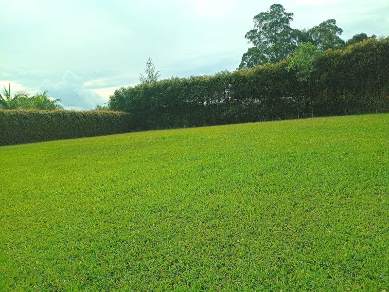 Lote en venta ubicado en Rionegro, sector Llanogrande - 3