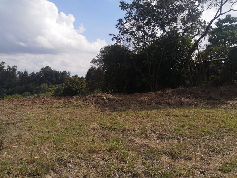 Lote en venta ubicado en Rionegro, sector Vereda los Pinos - 2