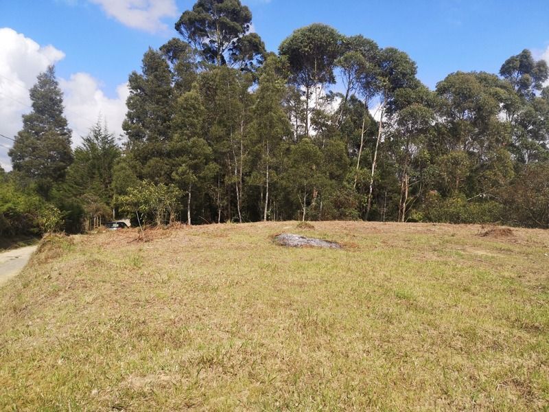 Lote en venta ubicado en Rionegro, sector Vereda los Pinos - 4
