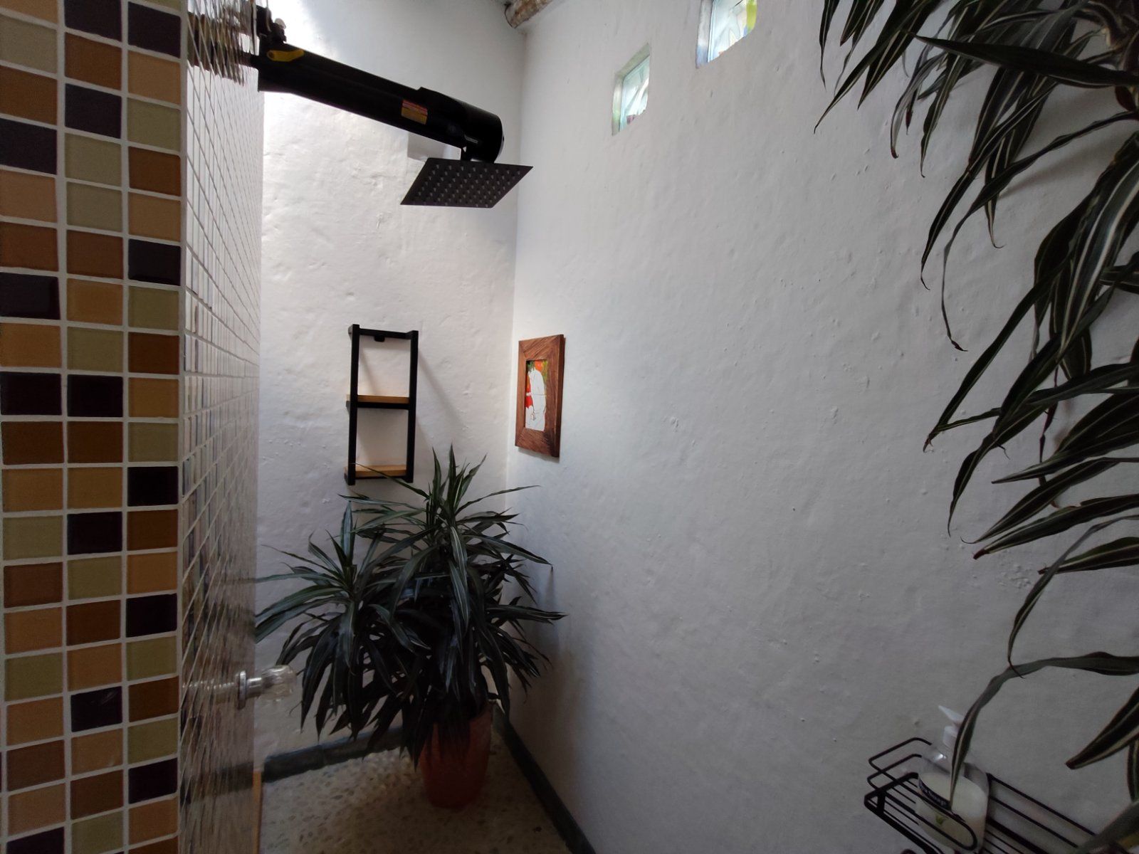 APARTAESTUDIO EN ARRIENDO UBICADO EN RIONEGRO - 5