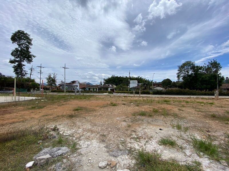 Lote en venta ubicado en La Ceja, sector El Tambo - 3