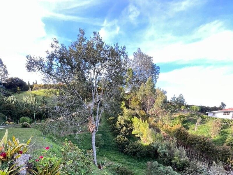 FINCA EN VENTA UBICADA EN MARINILLA SECTOR VEREDA LAS MERCEDEZ - 17