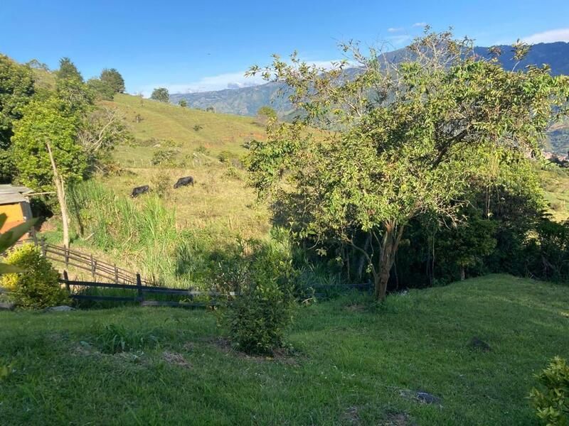 Finca en arriendo ubicada en Copacabana, sector Vereda la Veta - 3