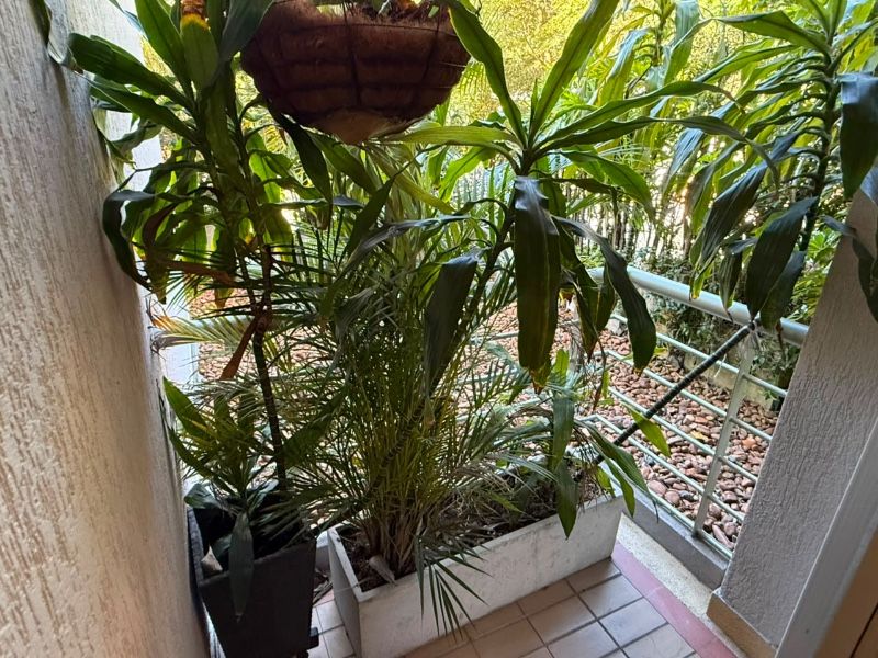 APARTAMENTO EN ARRIENDO UBICADO EN MEDELLIN SECTOR LOS BALSOS - 19
