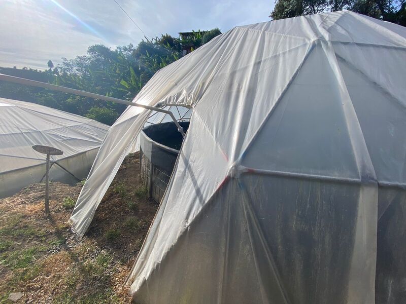 FINCA EN VENTA UBICADA EN RIONEGRO SECTOR VEREDA MAMPUESTO - 16