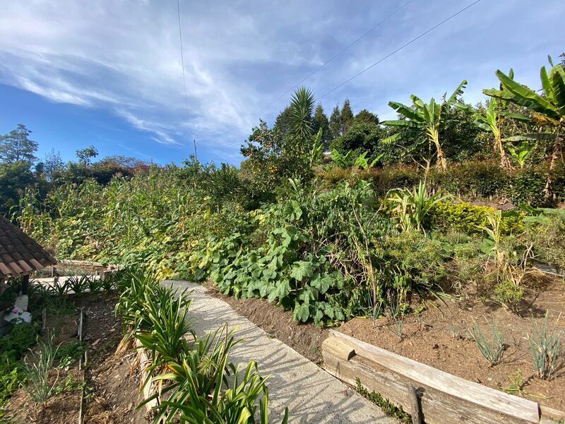 FINCA EN VENTA UBICADA EN RIONEGRO SECTOR VEREDA MAMPUESTO - 17