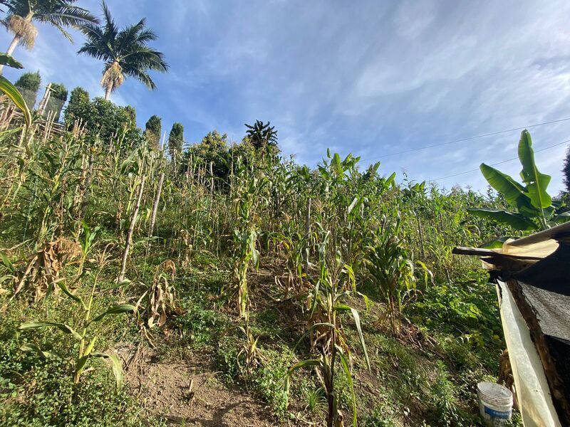 FINCA EN VENTA UBICADA EN RIONEGRO SECTOR VEREDA MAMPUESTO - 18