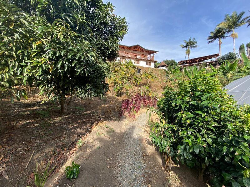 FINCA EN VENTA UBICADA EN RIONEGRO SECTOR VEREDA MAMPUESTO - 19