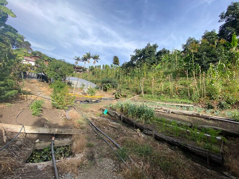 FINCA EN VENTA UBICADA EN RIONEGRO SECTOR VEREDA MAMPUESTO - 20