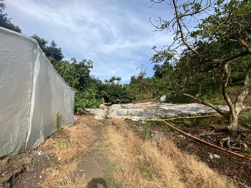 FINCA EN VENTA UBICADA EN RIONEGRO SECTOR VEREDA MAMPUESTO - 21