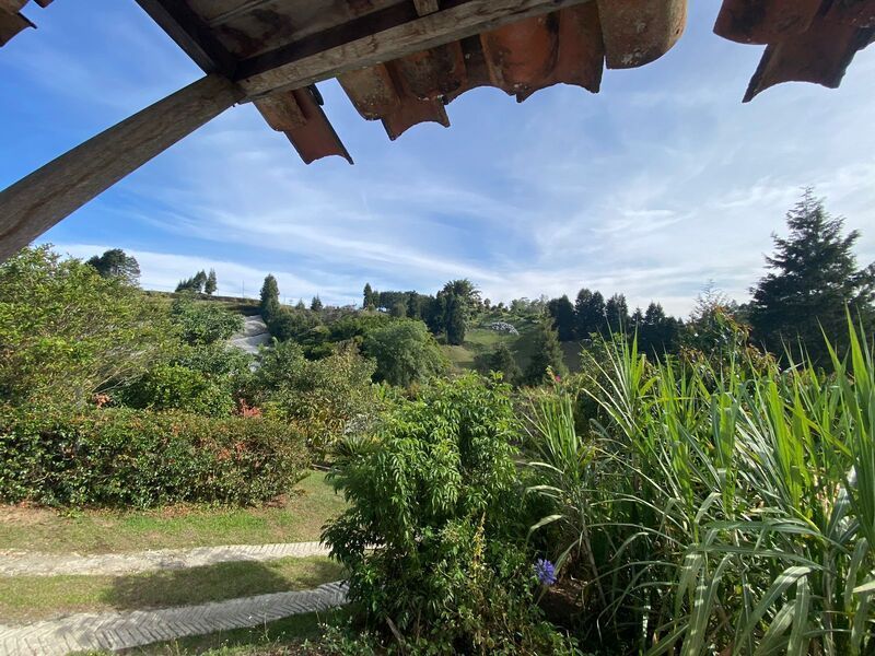 FINCA EN VENTA UBICADA EN RIONEGRO SECTOR VEREDA MAMPUESTO - 22