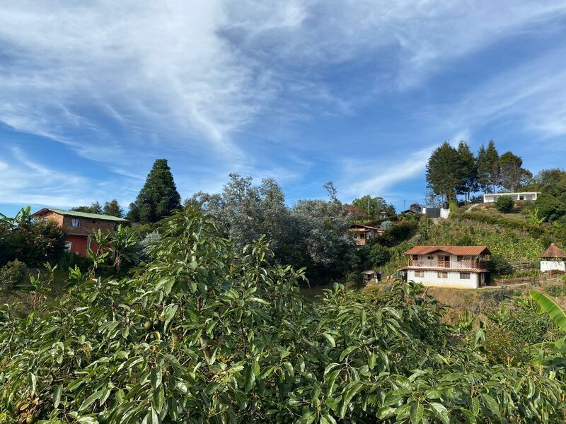 FINCA EN VENTA UBICADA EN RIONEGRO SECTOR VEREDA MAMPUESTO - 23