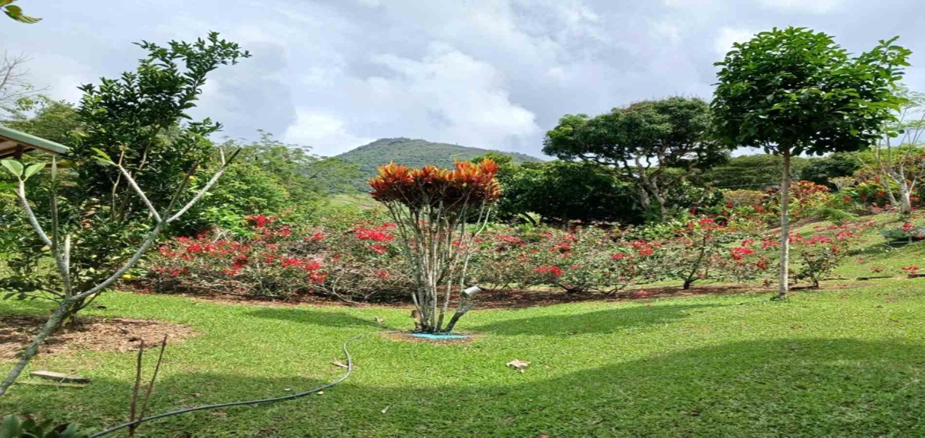 Finca en arriendo ubicada en Barbosa, sector Vereda las Lajas - 7