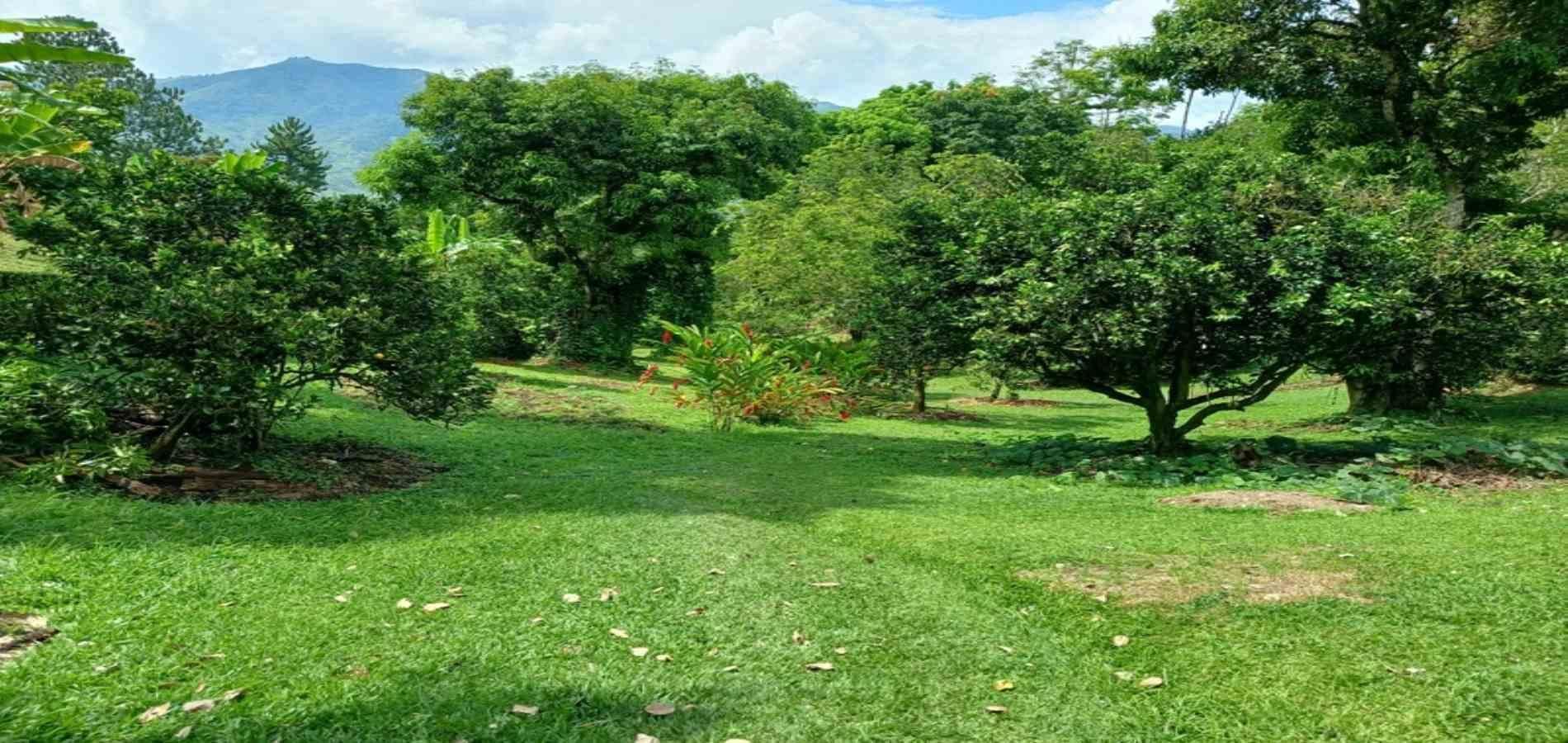 Finca en arriendo ubicada en Barbosa, sector Vereda las Lajas - 50