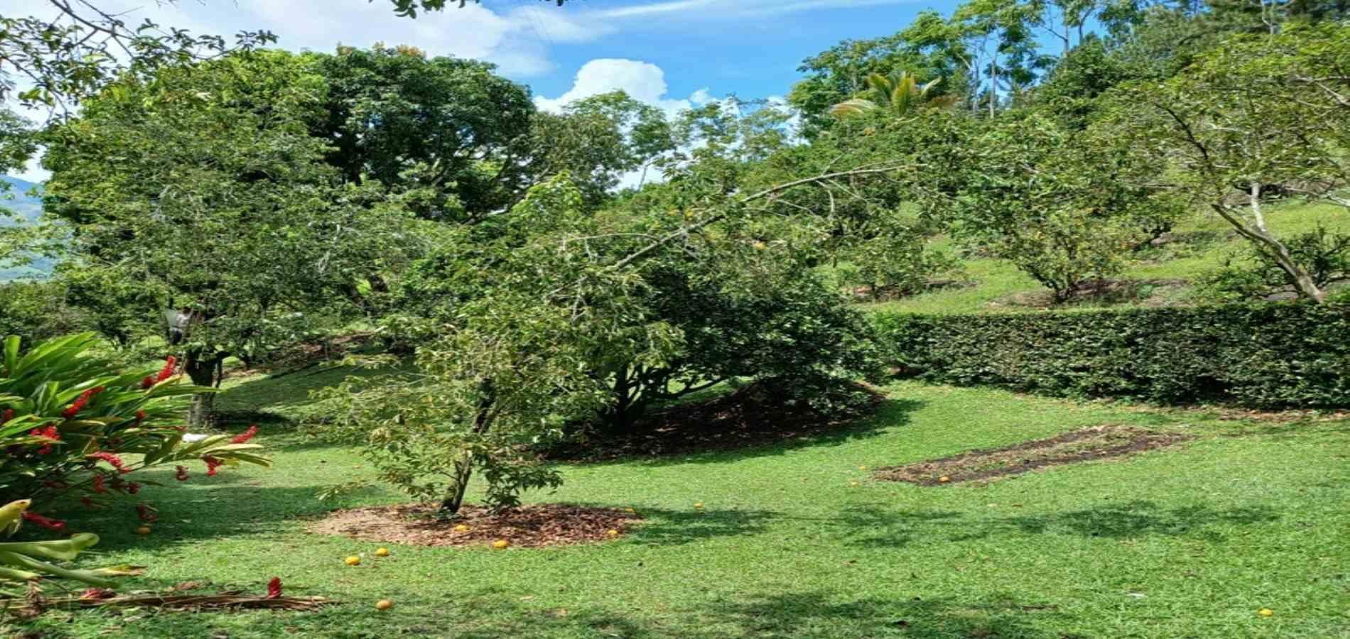 Finca en arriendo ubicada en Barbosa, sector Vereda las Lajas - 51