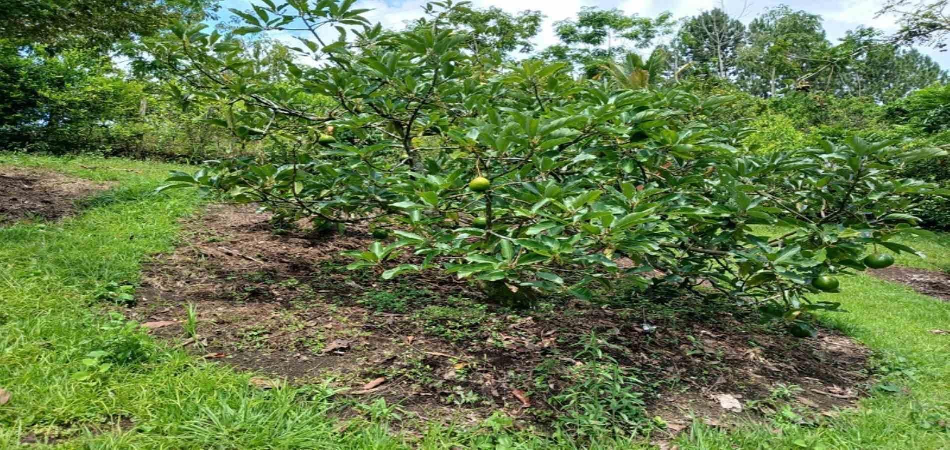 Finca en arriendo ubicada en Barbosa, sector Vereda las Lajas - 54