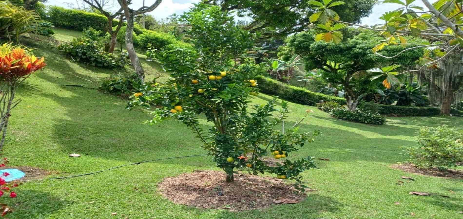 Finca en arriendo ubicada en Barbosa, sector Vereda las Lajas - 58