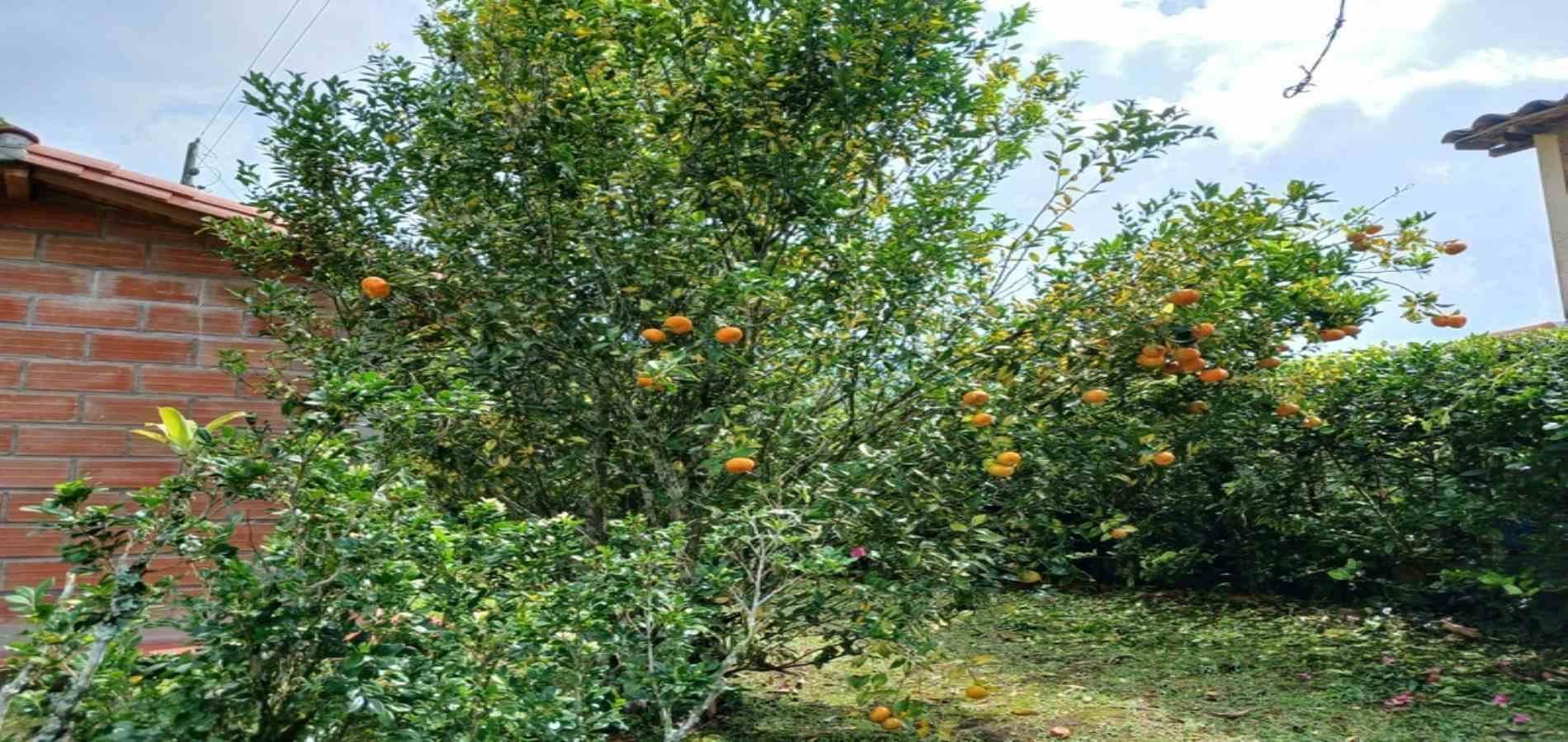 Finca en arriendo ubicada en Barbosa, sector Vereda las Lajas - 59