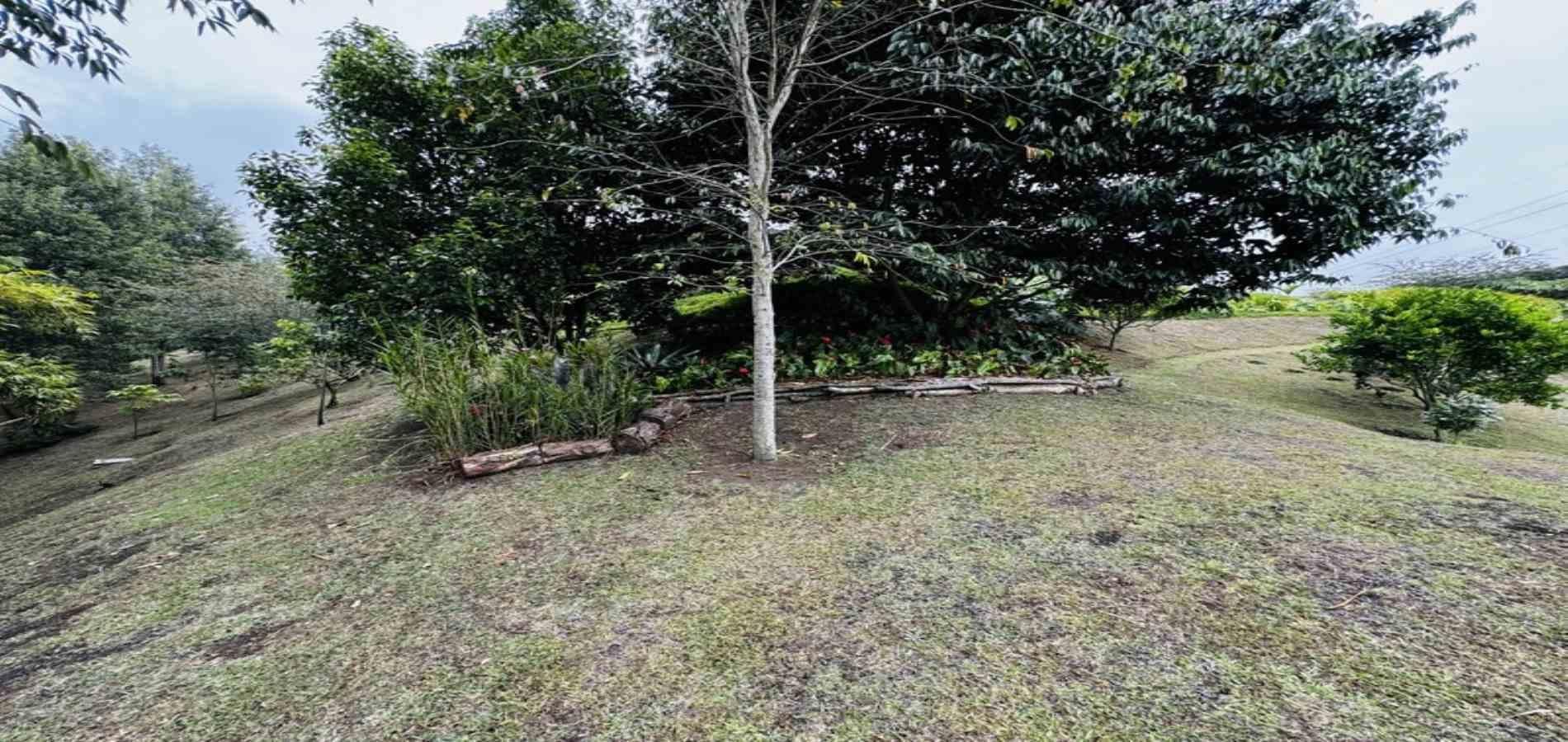 Finca en venta ubicada en La Ceja - 45