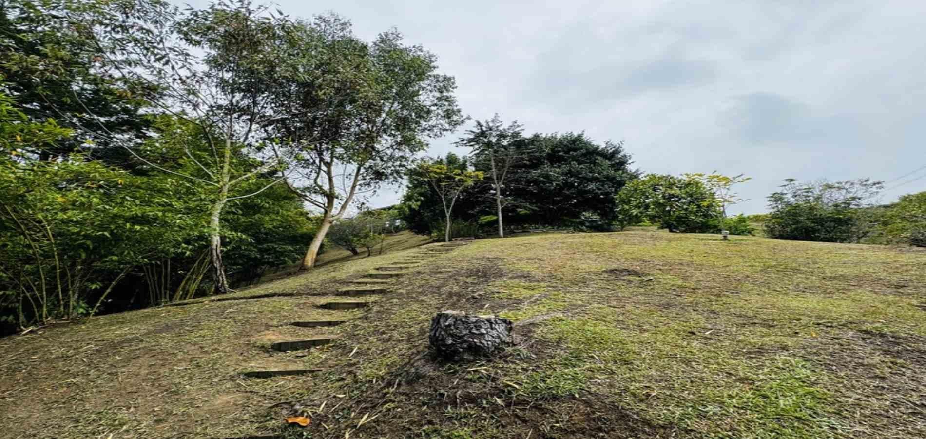 Finca en venta ubicada en La Ceja - 47