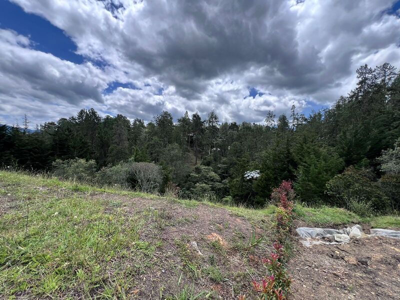 Lote en venta ubicado en El Retiro, sector La Fe - 9
