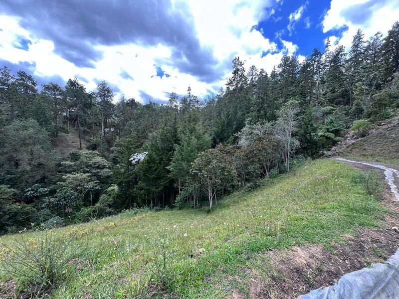 Lote en venta ubicado en El Retiro, sector La Fe - 10