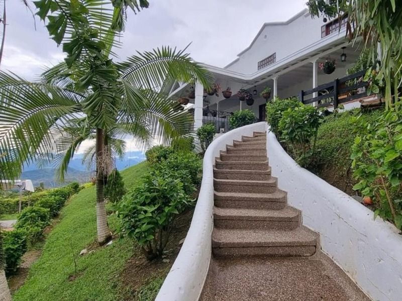 Finca en venta ubicada en Titiribí, sector Vereda Corcovado - 3