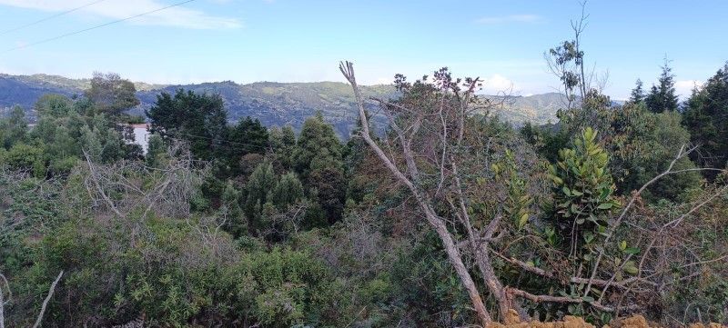 Lote en venta ubicado en Guarne, sector Vereda San Isidro - 3