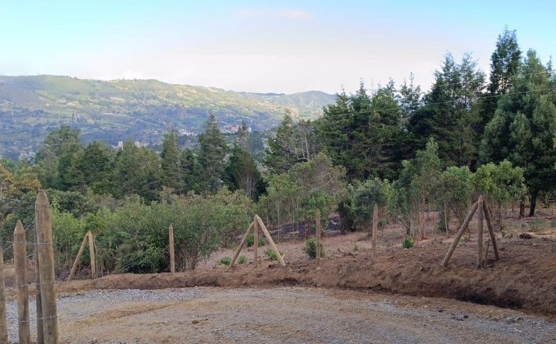 Lote en venta ubicado en Guarne, sector Vereda San Isidro - 4