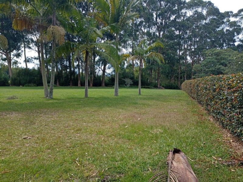 Lote en venta ubicado en Rionegro, sector Los Alticos - 3