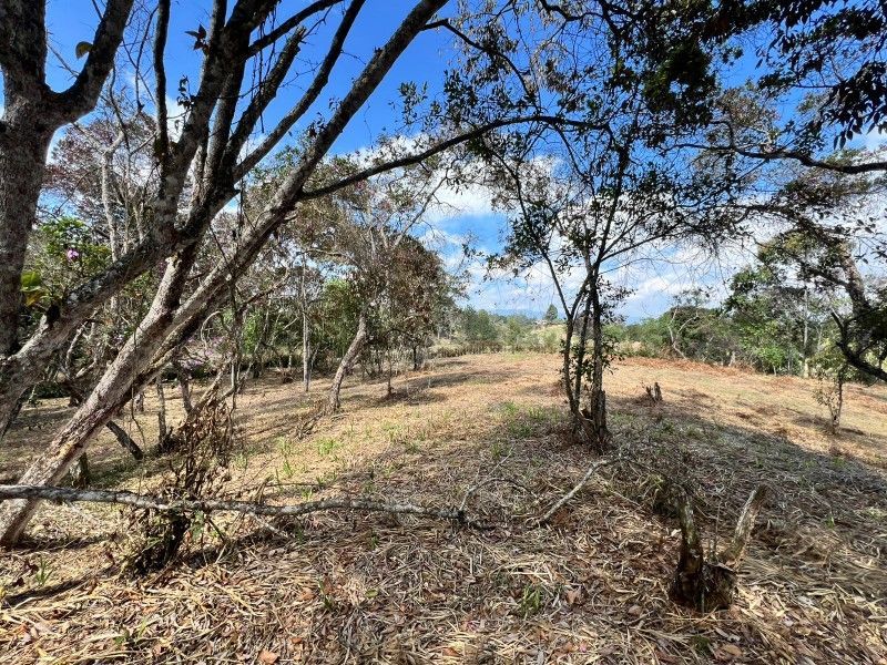 Lote en venta ubicado en Rionegro, sector Quirama - 3