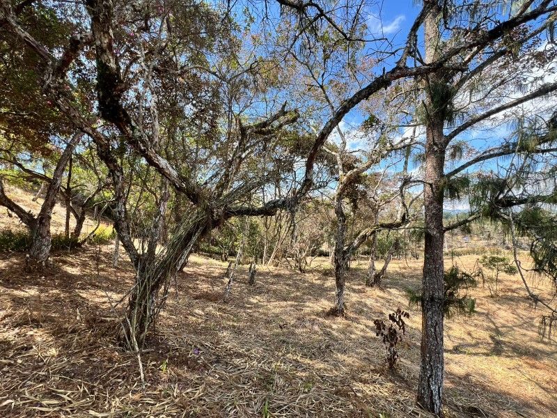 Lote en venta ubicado en Rionegro, sector Quirama - 9