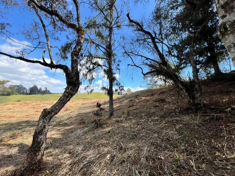 Lote en venta ubicado en Rionegro, sector Quirama - 10