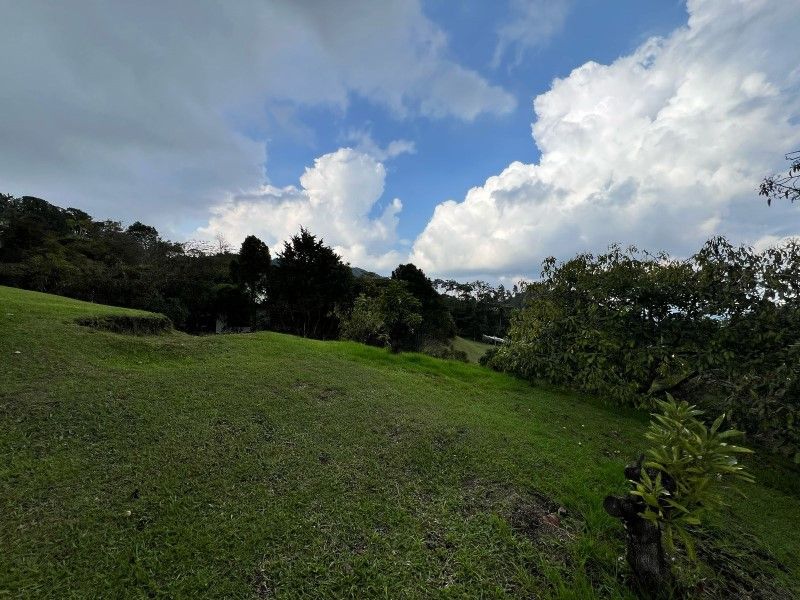 Lote en venta ubicado en La Ceja, sector El Tambo - 4