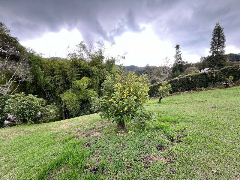 Lote en venta ubicado en La Ceja, sector El Tambo - 5
