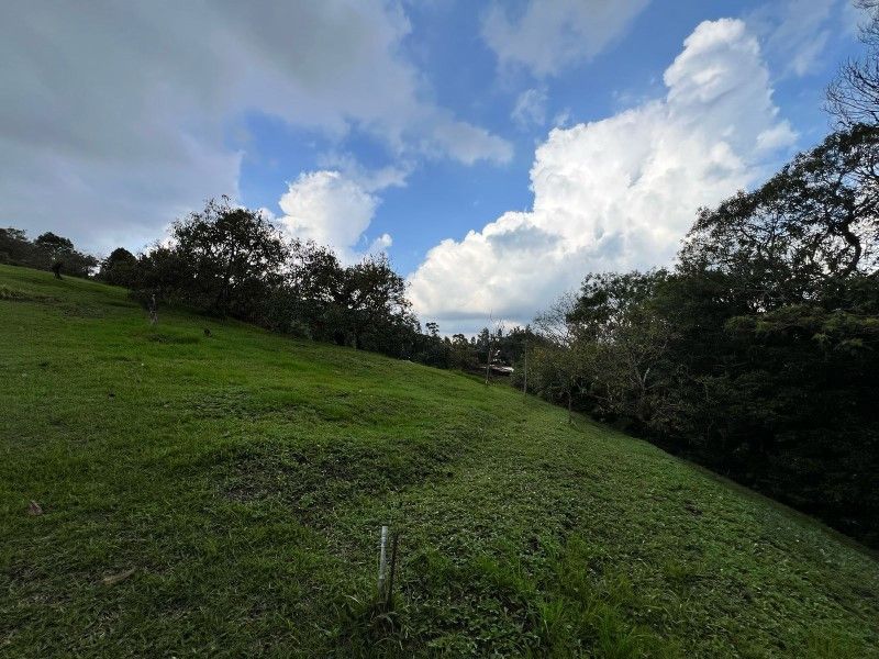 Lote en venta ubicado en La Ceja, sector El Tambo - 6