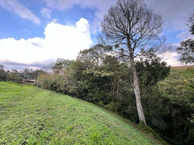 Lote en venta ubicado en La Ceja, sector El Tambo - 7