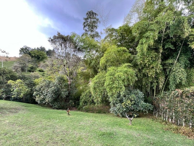 Lote en venta ubicado en La Ceja, sector El Tambo - 8