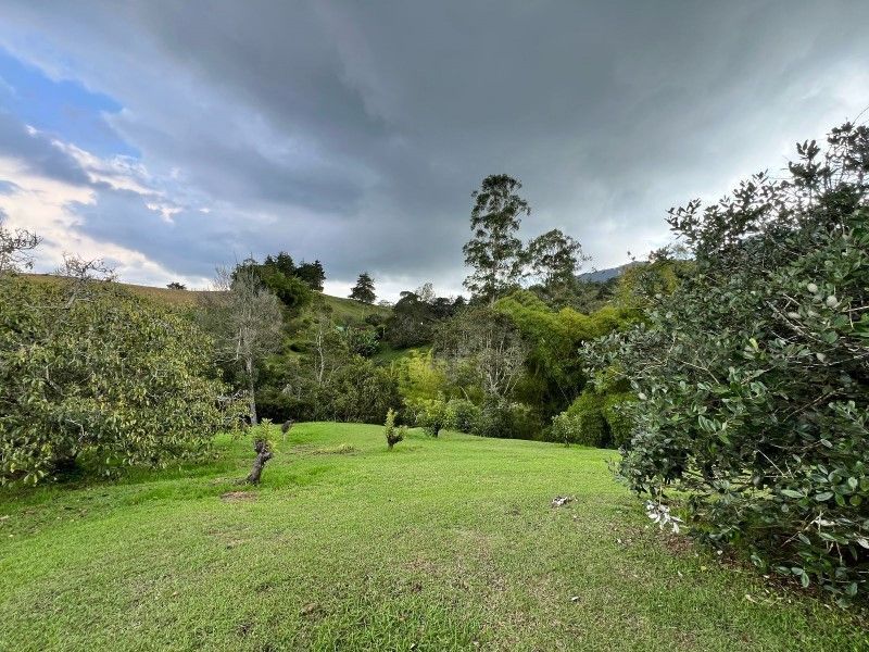 Lote en venta ubicado en La Ceja, sector El Tambo - 9