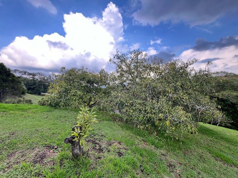 Lote en venta ubicado en La Ceja, sector El Tambo - 10
