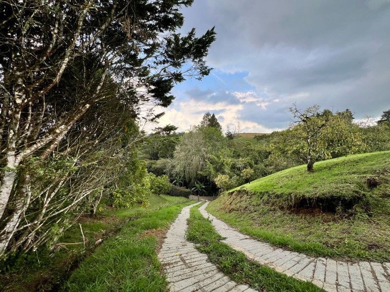 Lote en venta ubicado en La Ceja, sector El Tambo - 13