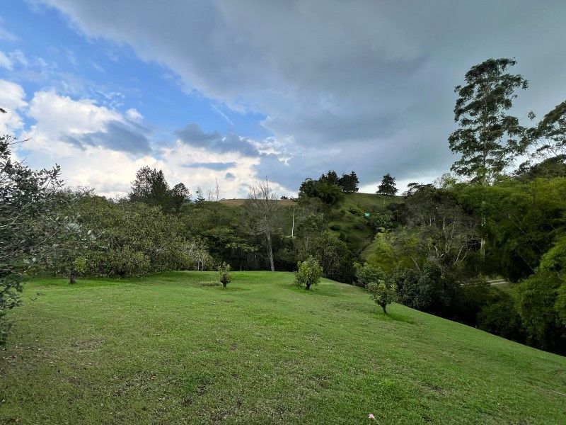 Lote en venta ubicado en La Ceja, sector El Tambo - 16