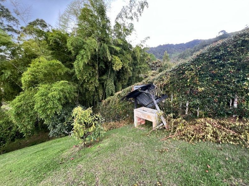 Lote en venta ubicado en La Ceja, sector El Tambo - 17