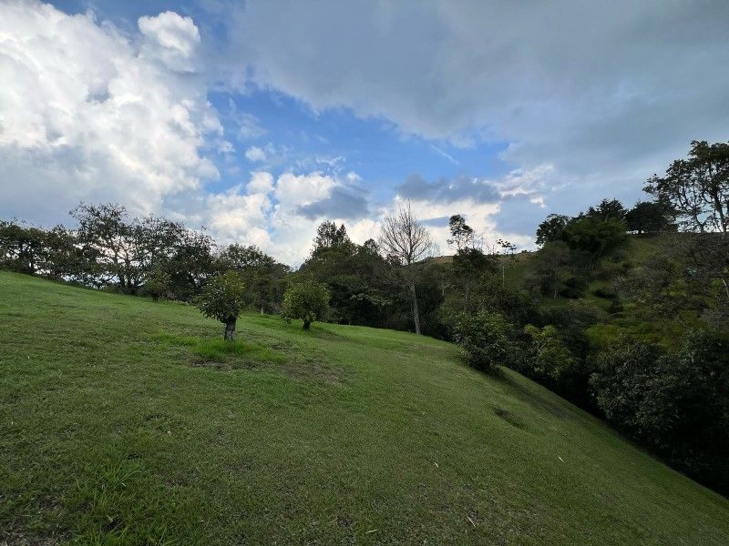 Lote en venta ubicado en La Ceja, sector El Tambo - 18