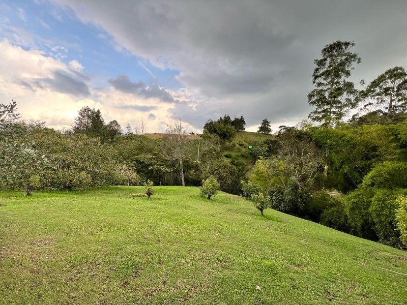 Lote en venta ubicado en La Ceja, sector El Tambo - 19