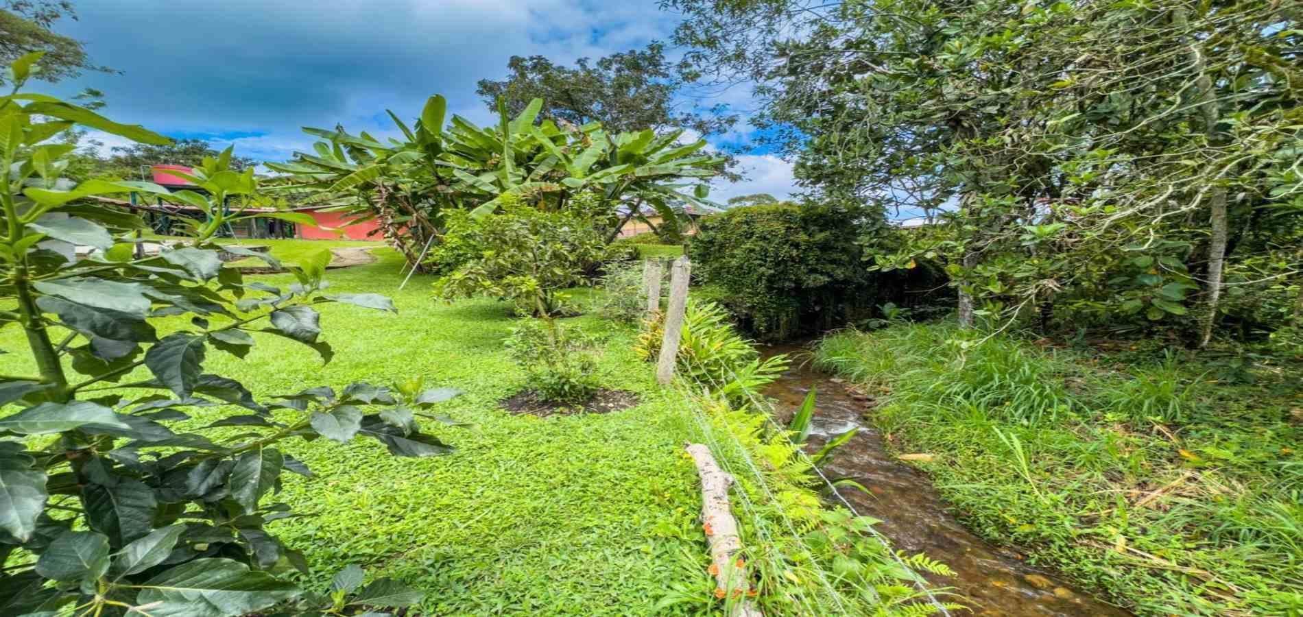 Finca en venta ubicada en La Ceja, sector El Tambo - 18