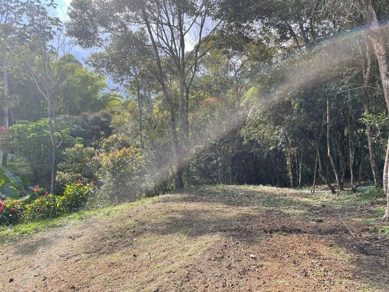 Lote en venta ubicado en Rionegro, sector Quirama - 13